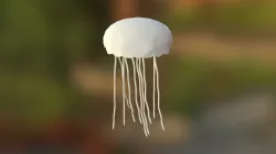 Meduse