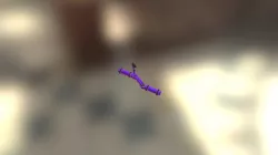 MIRRAX