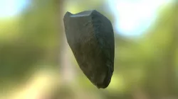 Mossy Rock 1