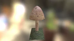 Mushroom 1