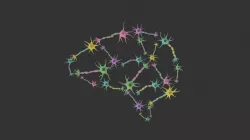 Neural Network