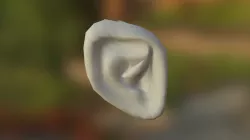 Oreja