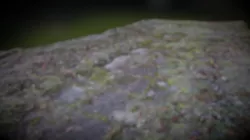 Pavement