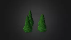 Pine Trees