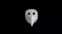 Plague Doctor Inspired Mask