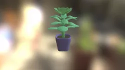 Plante2