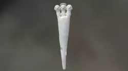 Pre-Columbian Vessel Seed Planter