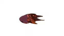 Propeller