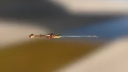 Rager Sword
