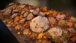 Rocks 3