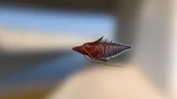 See-through Fish