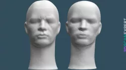 Sense 1 vs. Sense 2 3D Scanner Comparison