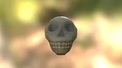 Skull