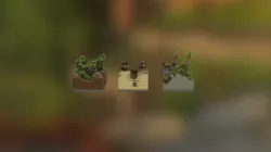 Small Server Package