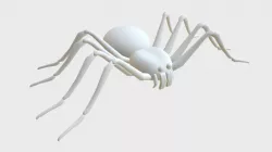 Spider Base Mesh