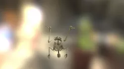 SPOOKY SCARY SKELETON!