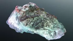 Submerged Prehistoric Florida at New Ground Reef