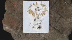 sunflower collage