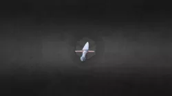 Sword