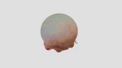 The Flying Pig