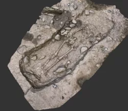 tomb 3d model
