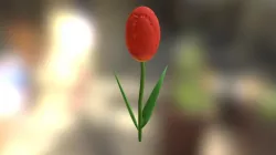 Tulipan Comp1