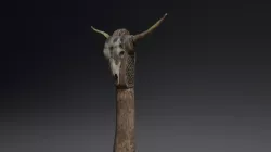 Viking Tothem vs Skull
