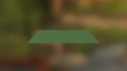 vloer