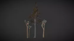 Waikato Wetland Trees