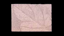 Wood Block Test - David SLS-2 Scanner