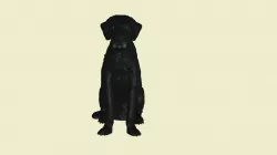 2002014-00 Barney