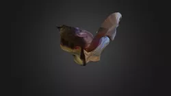 3dme
