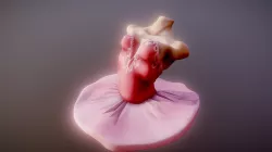 Ballerina Torso (Part 2)