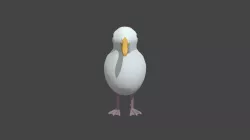 Bird Model