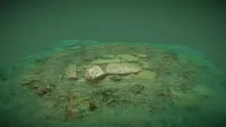 Black Bream Nest