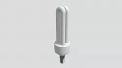 Bulb