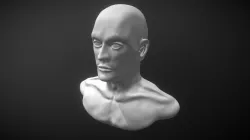 Bust