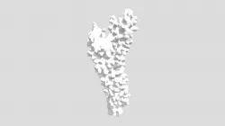 Coral-branch