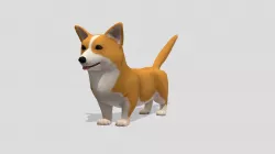 Corgi