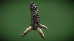 Dragon leg