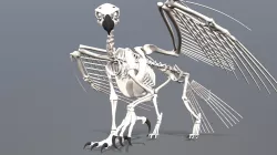 Gryphon Skeleton