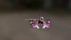 guy