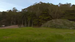 H1