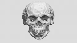 Hammered Skull ring