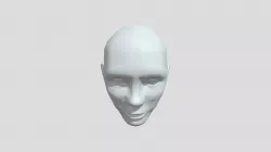 Head And Face Model