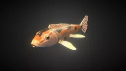 Koi Fish
