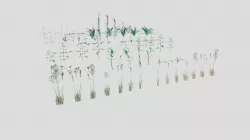 Meadow Plant Pack