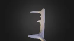 MINI__Qins_16_09_1