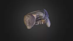 out