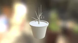 Plante